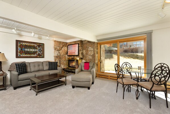 Fireplace, DVD player, books, video library