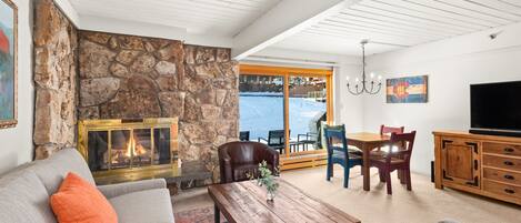 Kamin, DVD-Player, Bücher, Videothek