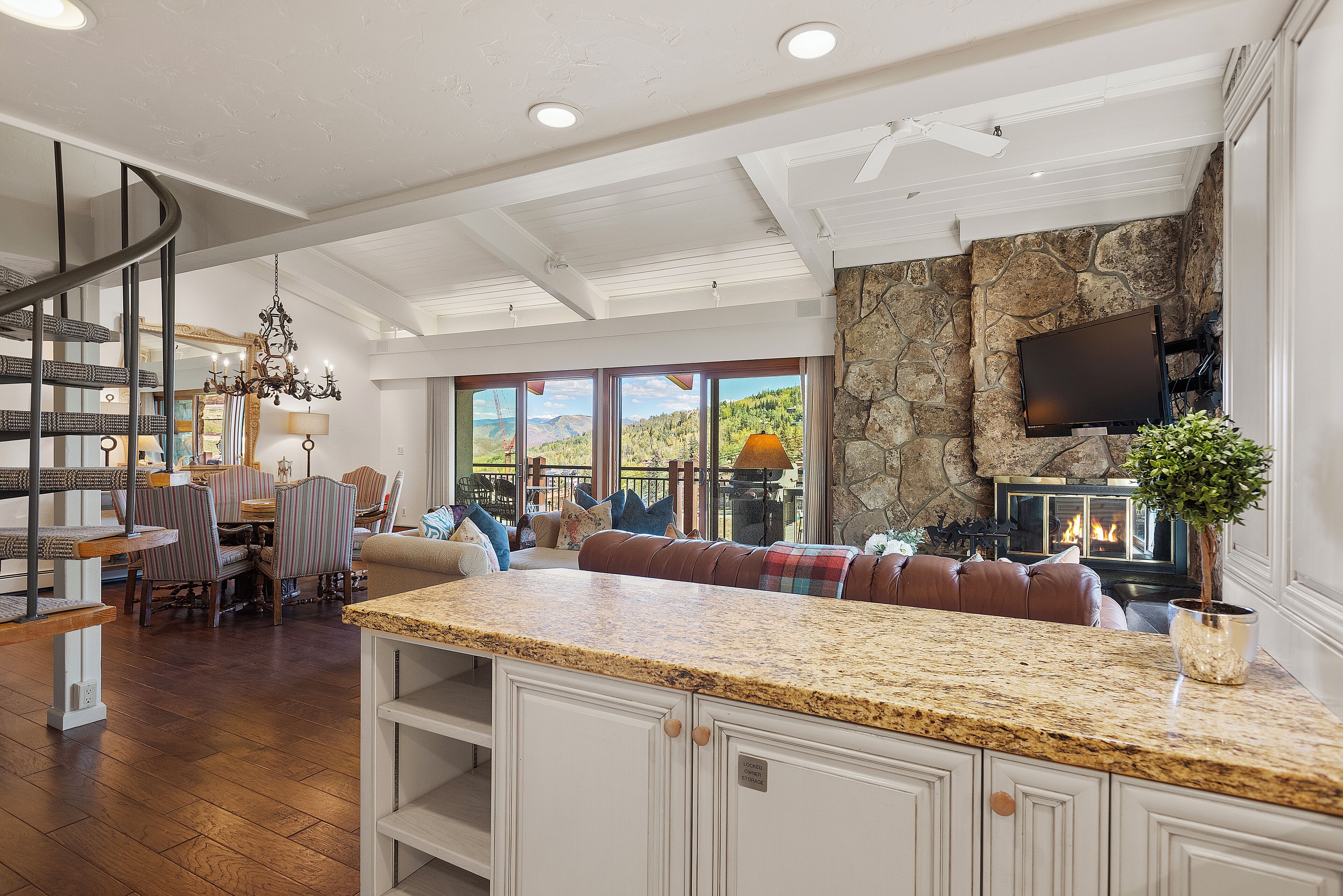 TV, fireplace, books, video library