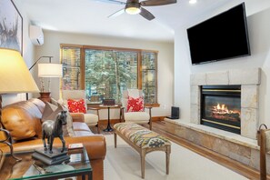 Televisor, llar de foc i reproductor de DVD 