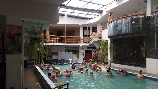 Una piscina interior con varias pistas de natación, rodeada de plantas en macetas y un nivel superior cubierto.