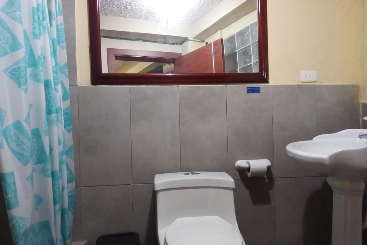 Un baño con inodoro, lavamanos y espejo.