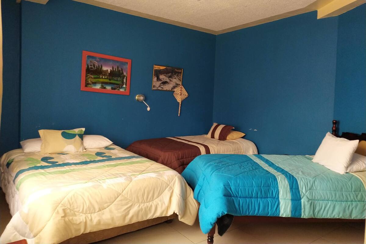 Una habitación con dos camas, una lámpara en el techo y dos adornos en las paredes.