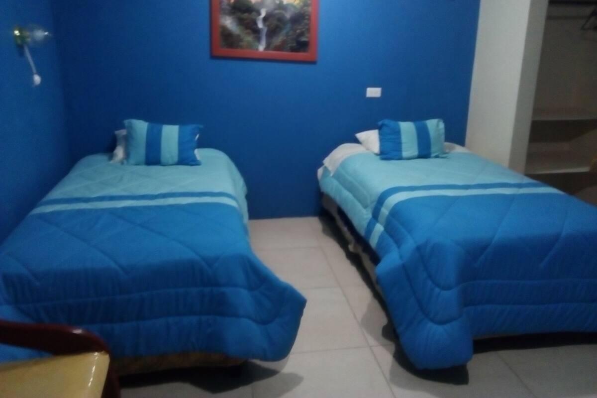 Una habitación con dos camas, cada una con ropa de cama y almohadas azules, un cuadro en la pared y una silla en la esquina.