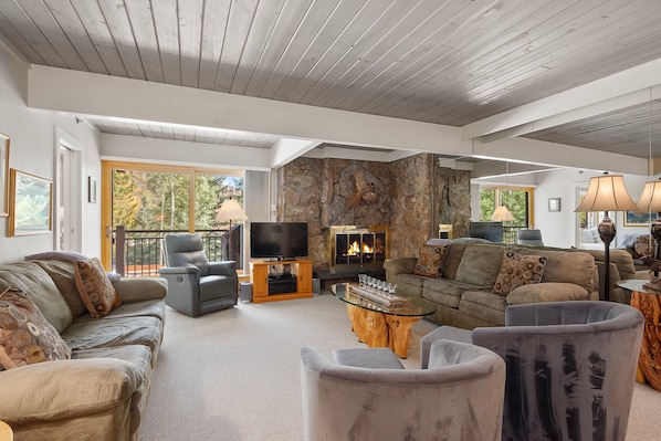 Fireplace, DVD player, books, video library