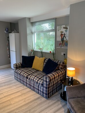 TV, fireplace, DVD player, stereo