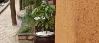 La Rock Inn - Jinja City