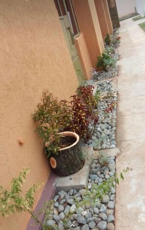 Détail de l’extérieur