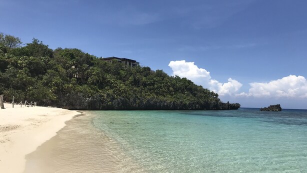 A beach with clear turquoise water, sandy shore, and dense green foliage on a hill.