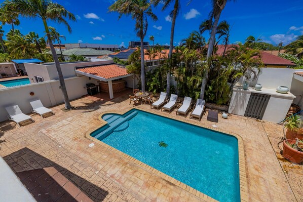 A swimming pool with a turtle, surrounded by lounge chairs and palm trees. - Bubali Villa - Just a 2-minute drive to Eagle Beach (Eagle Beach)