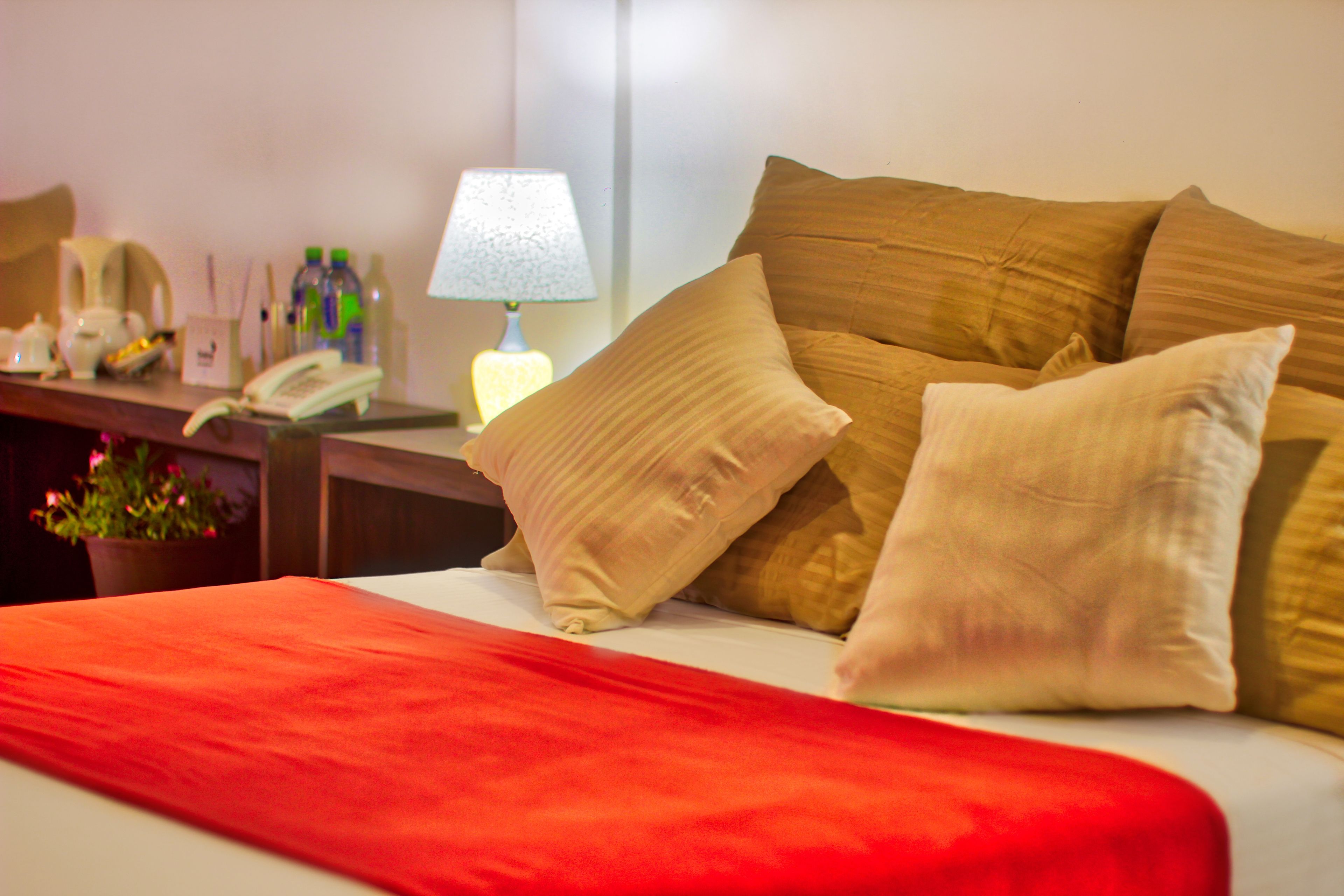Una habitación de hotel con una cama, almohadas, una mesita de noche con lámpara, teléfono y una planta.