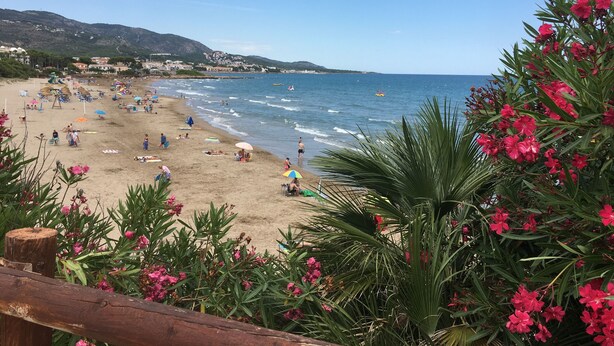 Una playa con gente tomando el sol y nadando, rodeada de vegetación y un cielo despejado.