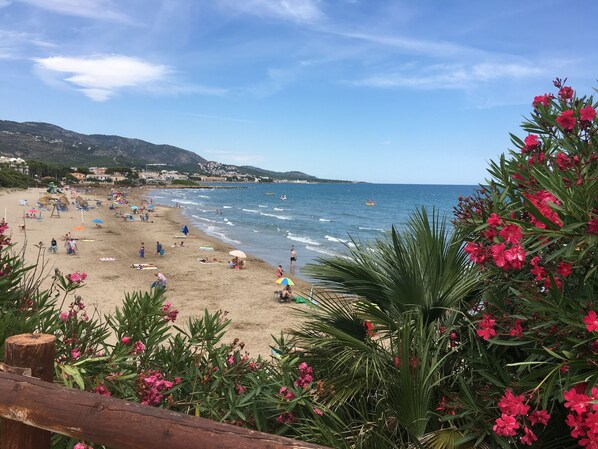Playa en los alrededores, camastros y toallas de playa