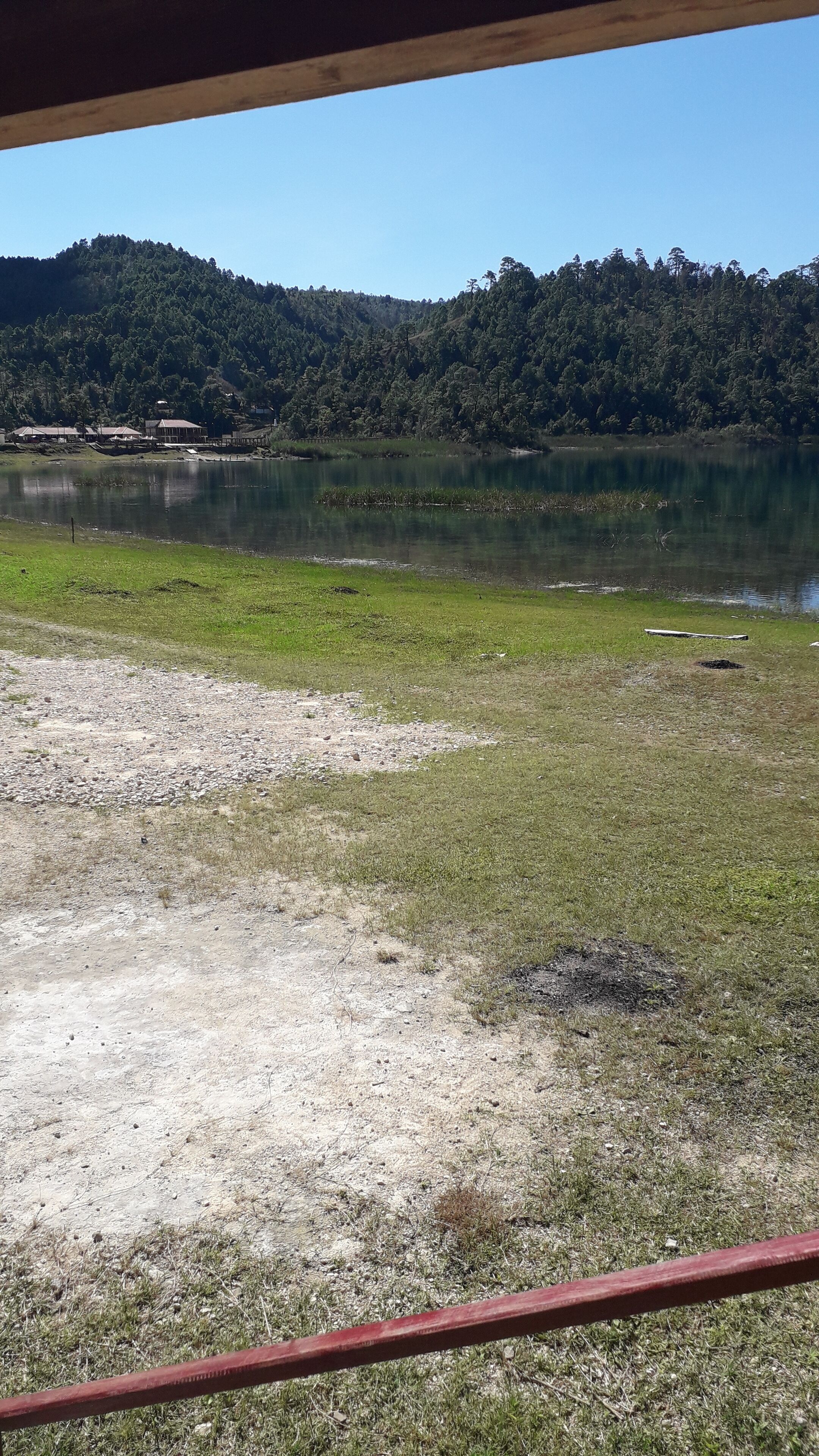 Vista de un lago con una colina boscosa al fondo y un área cubierta de pasto en primer plano.