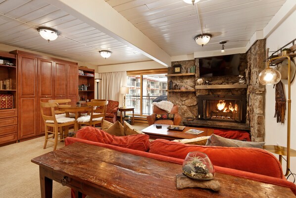 Fireplace, books, video library