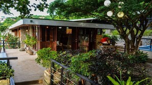 Ein modernes Haus mit überdachter Veranda, Steinstufen und üppigem Grün.