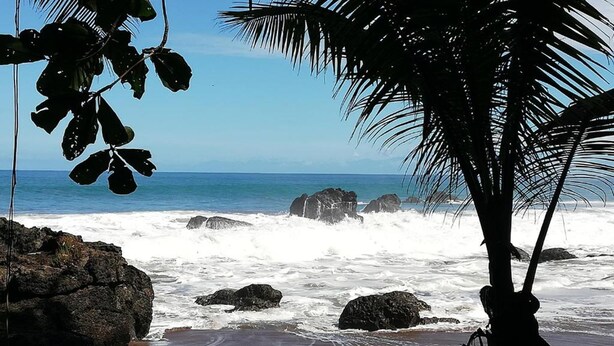 Beach - Garden of Heliconias Lodge (Drake Bay)