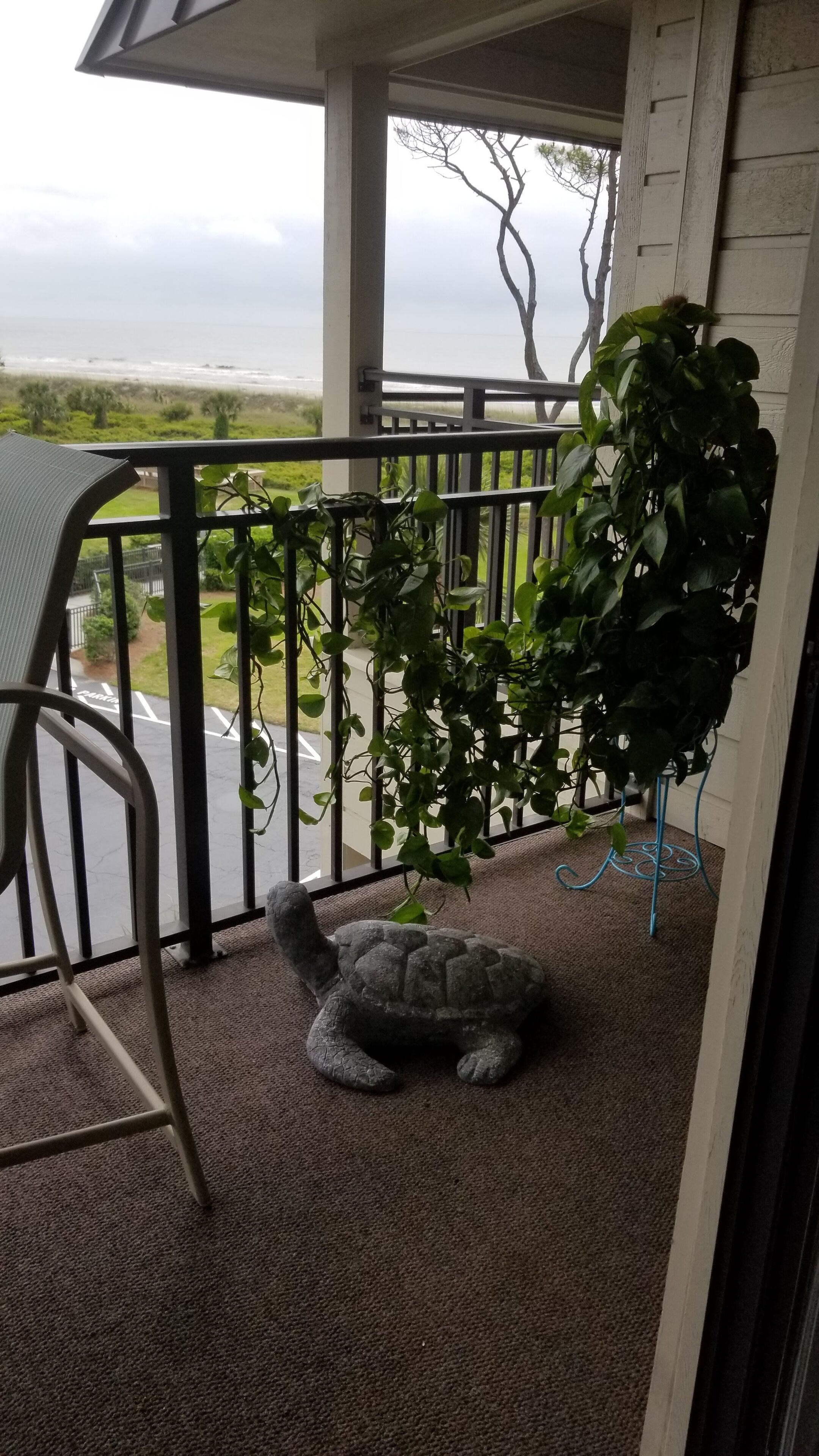 Un balcon avec vue sur la plage, une plante en pot et une sculpture de tortue.