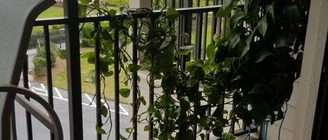 Un balcon avec vue sur la plage, une plante en pot et une sculpture de tortue.