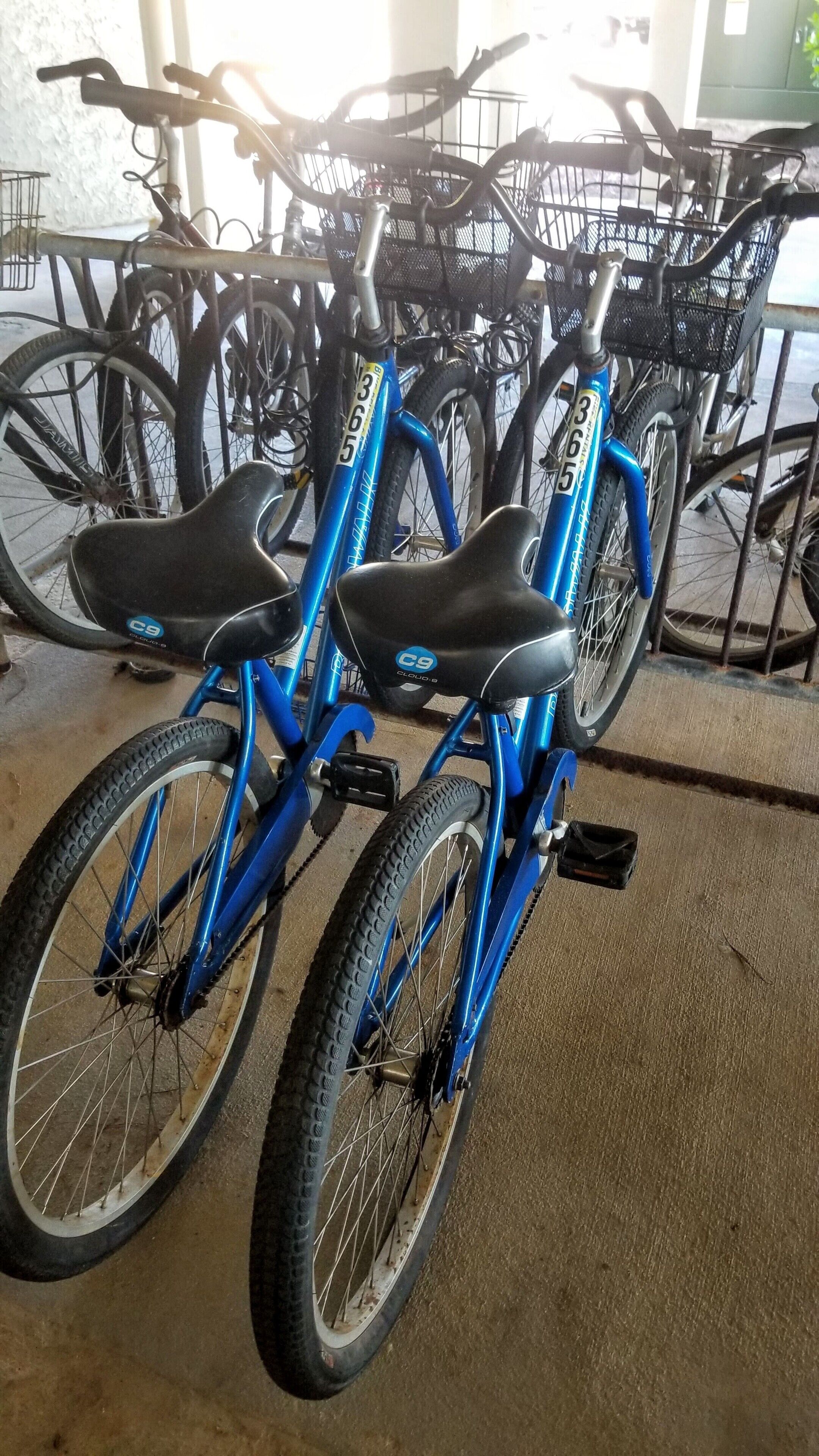 Una bicicleta azul con asiento negro y cesta, estacionada en un espacio interior junto a otras bicicletas.
