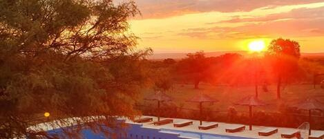 Hồ bơi ngoài trời phục vụ theo mùa, lều miễn phí