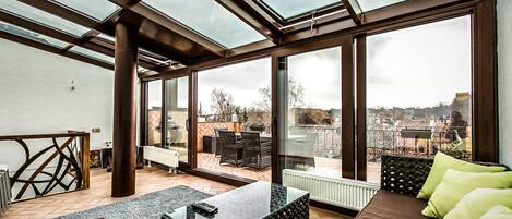 TV, fireplace, books