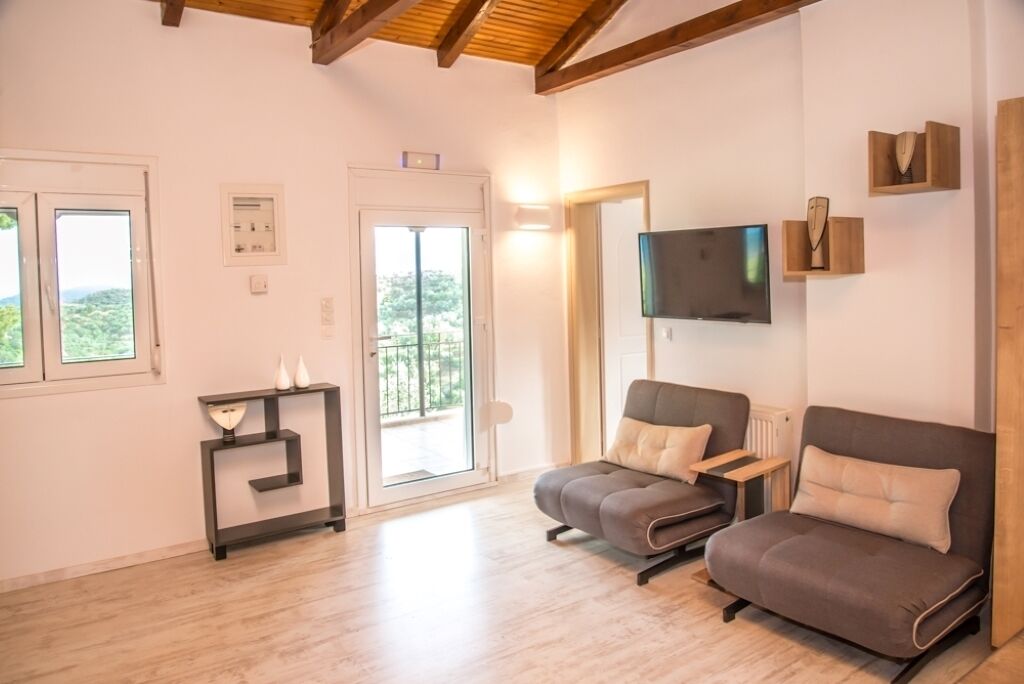 Télévision, cheminée, livres