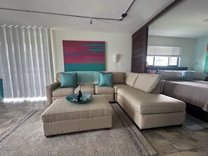 Smart TV, DVD player, books, video library