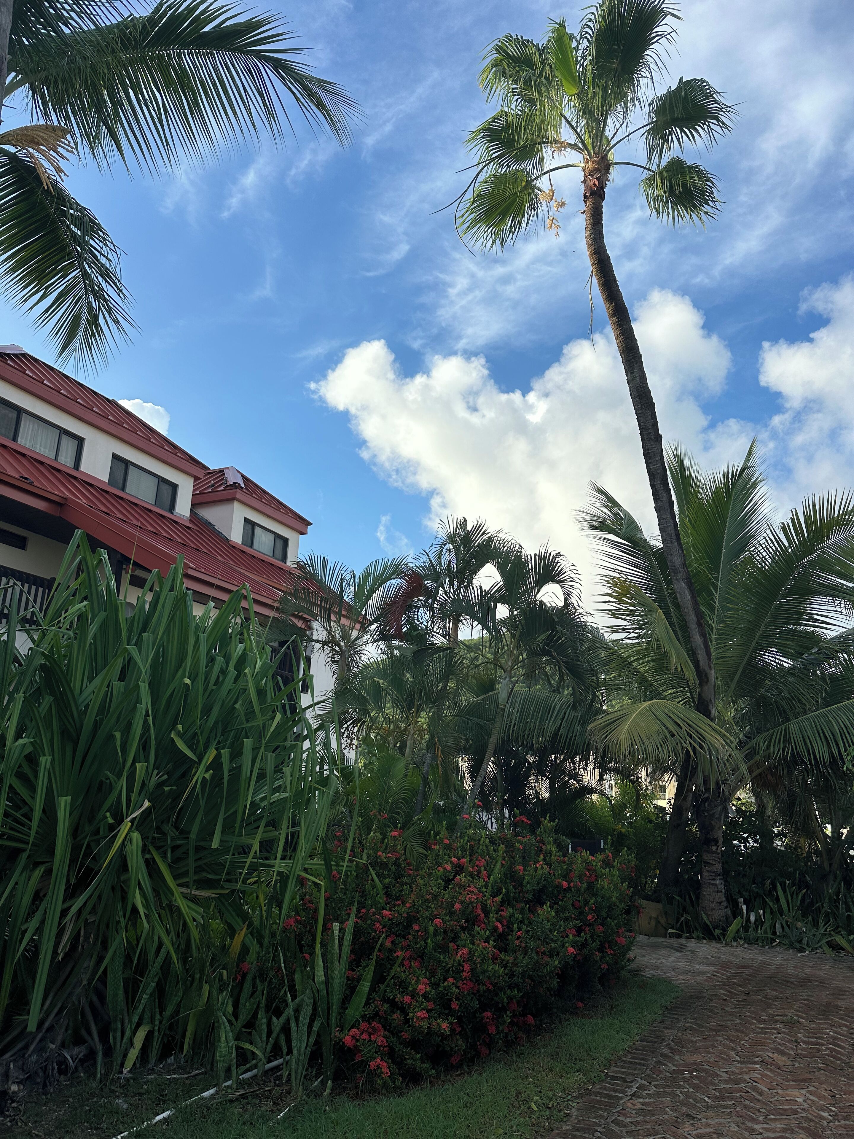 Jardines del alojamiento