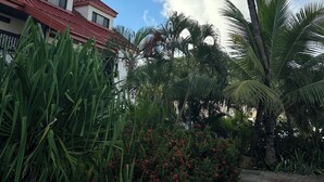 Un sendero conduce a un edificio de techo rojo, rodeado de abundante vegetación y palmeras.