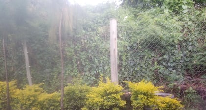 Karibu nyumbani "Willkommen zu Hause"