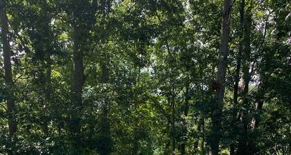 Lake Keowee water front! Close to Clemson. Enjoy the patio area and firepit