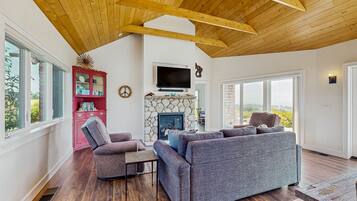 TV, fireplace, books