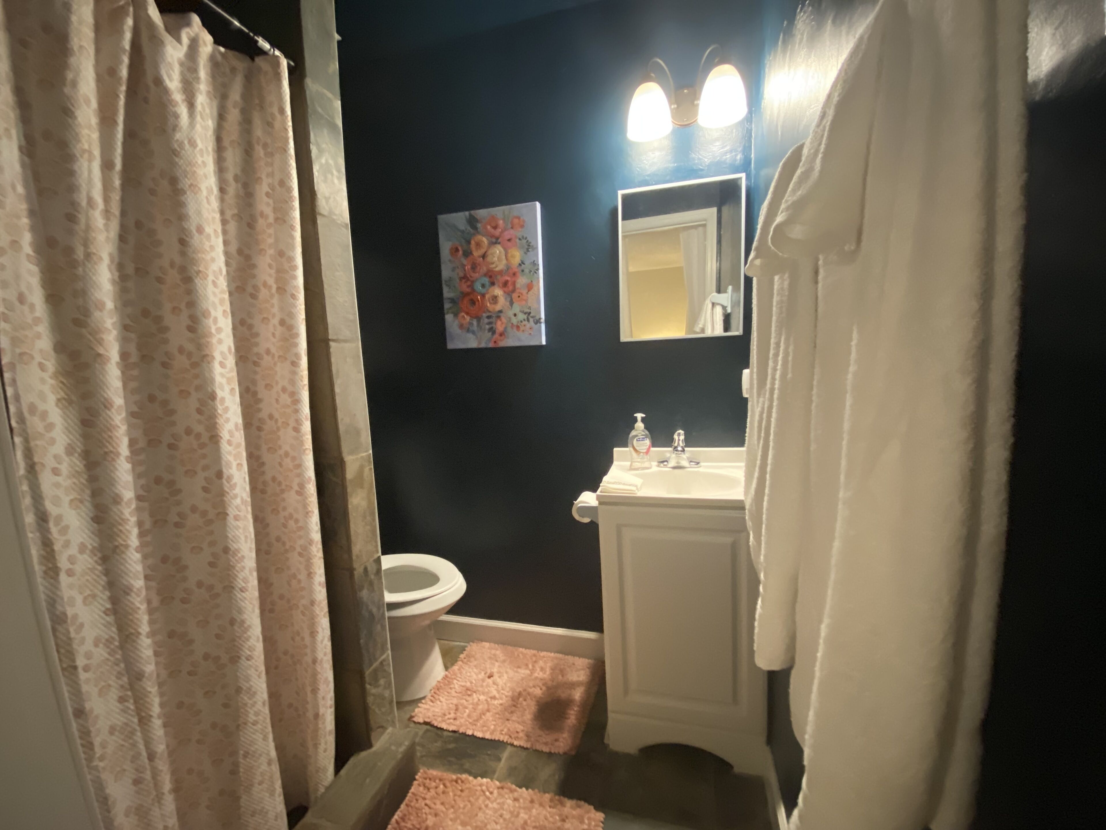 Combined shower/bathtub, eco-friendly toiletries, hair dryer, bidet