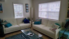 TV, DVD player, books