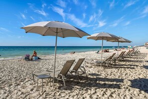 بالقرب من الشاطئ