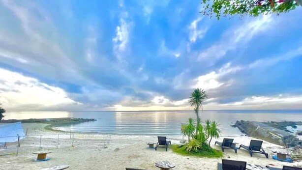 A beach with lounge chairs and tables, a palm tree, and a view of the ocean. - 8 Newtown Boulevard by SIET (Lapu-Lapu)