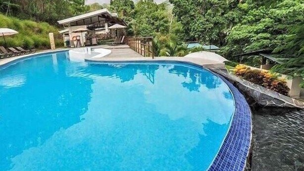 Une piscine aux bords incurvés, dont les carreaux bleus délimitent le pourtour, entourée d’une végétation luxuriante et agrémentée d’une terrasse en bois avec des chaises longues.