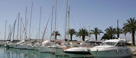 Marina