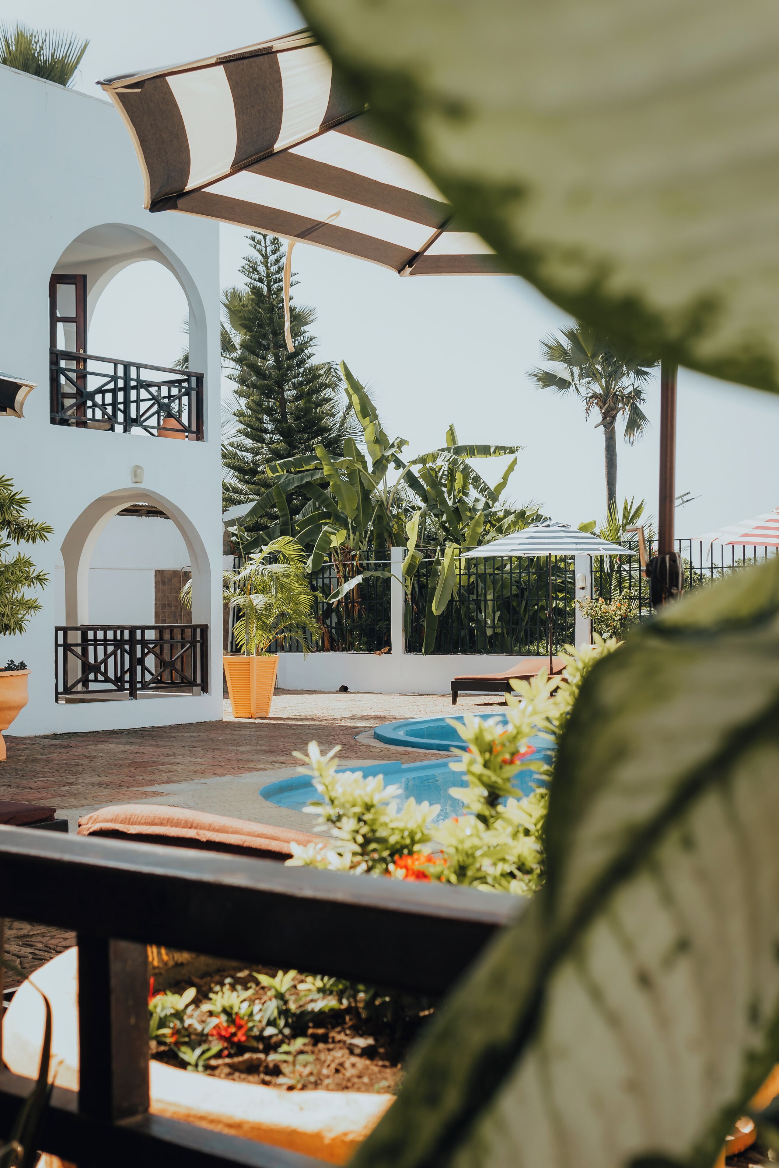 Piscine extérieure, chaises longues