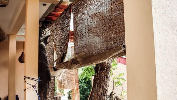 A room with a hammock, a tree, and a red ceiling. - Surf & Relax Inn Arugambay (Arugam Bay)