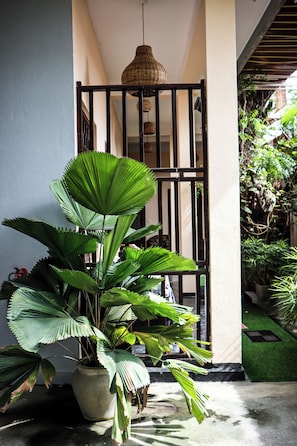 A potted plant in a doorway, a hanging light fixture, and a gated entrance.