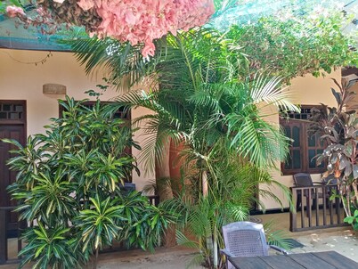 Surf & Relax Inn Arugambay