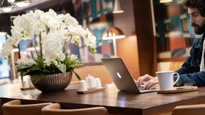 A person working on a laptop at a wooden table with a potted orchid and a white mug. - ROX Hotel Ankara (Ankara)