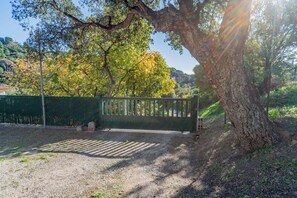 A fenced outdoor area with a tree, a gravel path, and a green gate.