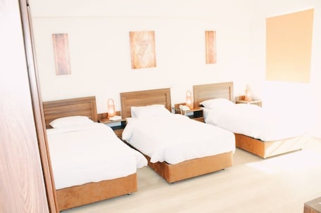 Triple Room | Minibar, iron/ironing board, free WiFi