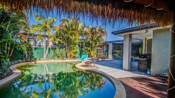 A swimming pool with a curved edge, surrounded by palm trees and a covered patio area. - Pets Allowed Burleigh Beach Pad (Burleigh Waters)