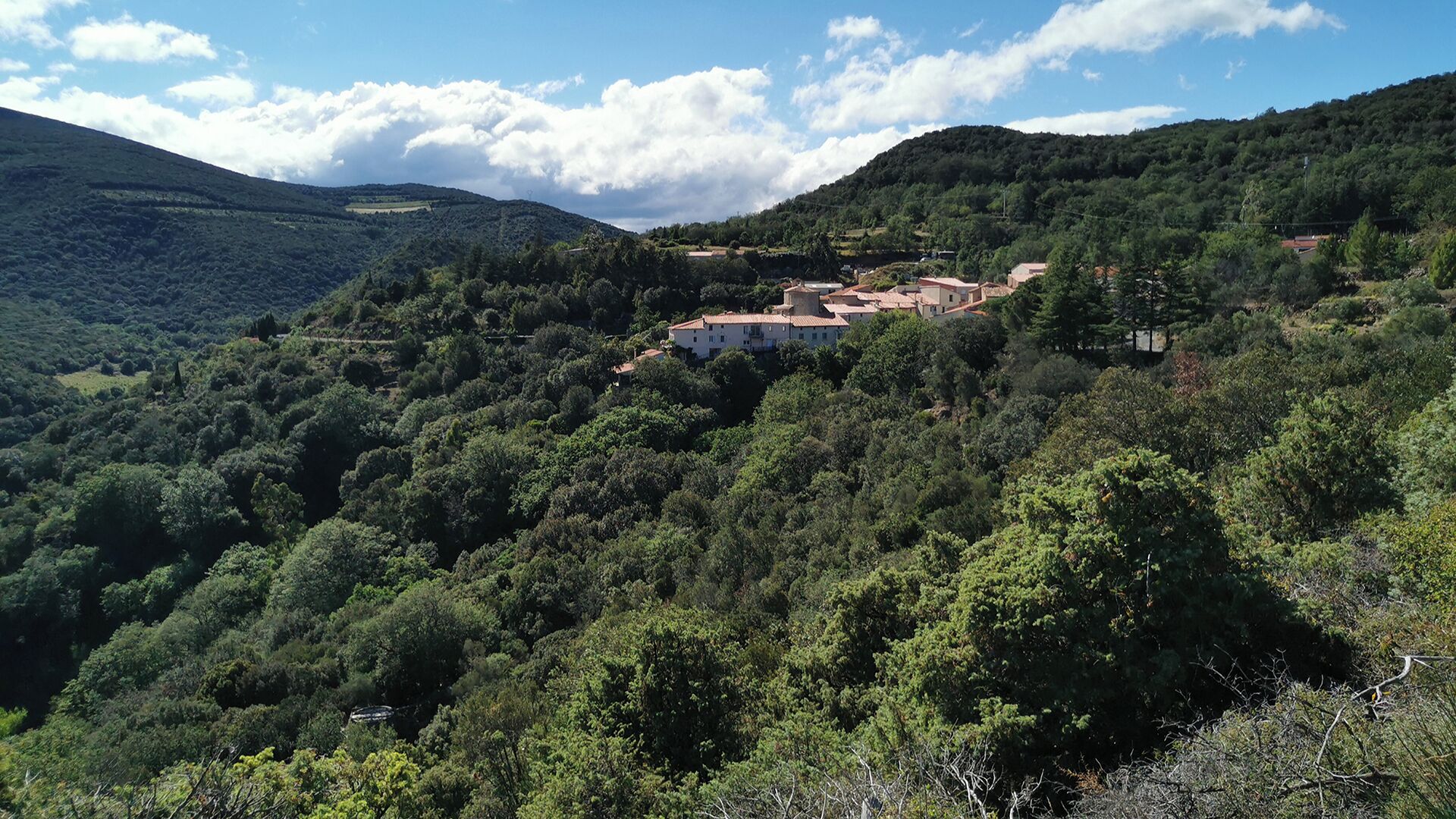 A hillside village with traditional architecture nestled among dense forests.