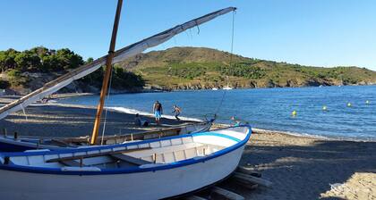 Large cottage in renovated Templar mas - panoramic view