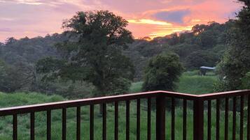 Guests can enjoy the serene natural surroundings from the deck.